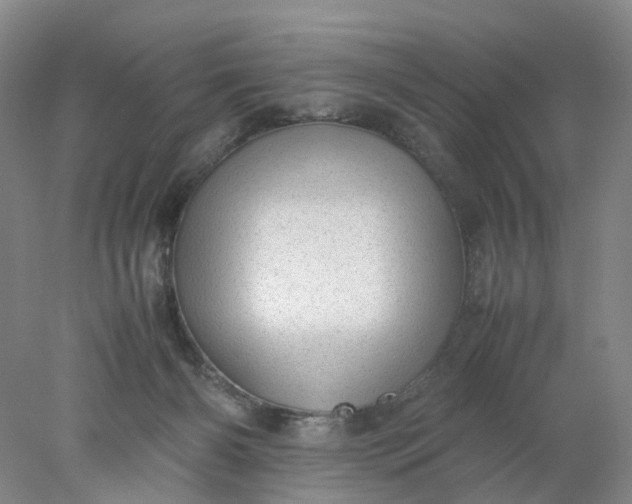 X0000077990126200611101738