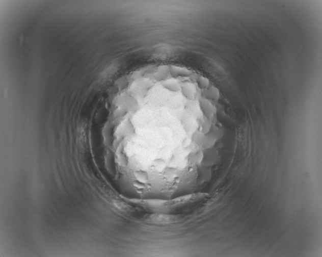 X0000077990127200611101738