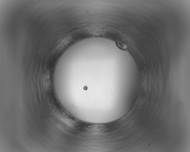 X0000077990128200611101738