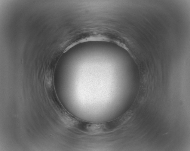 X0000077990129200611101738