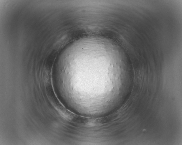 X0000077990130200611101738