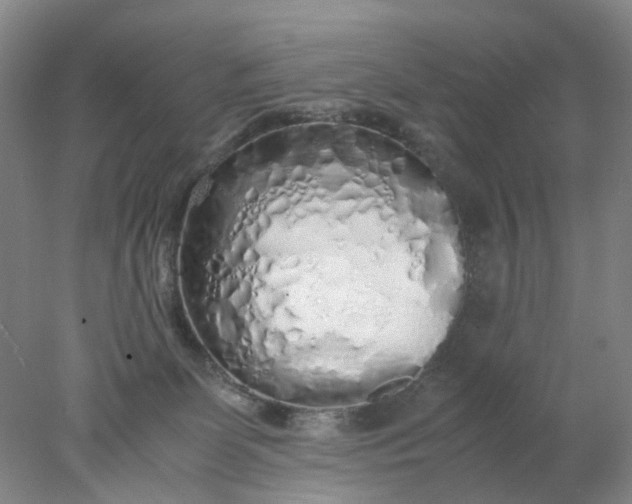 X0000077990131200611101738