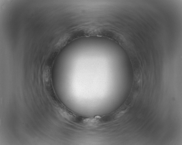 X0000077990133200611101738