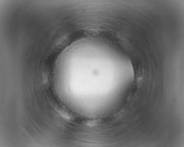 X0000077990134200611101738