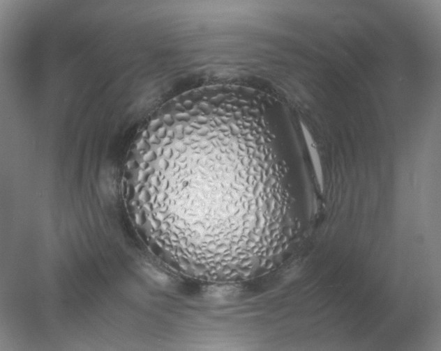 X0000077990135200611101738