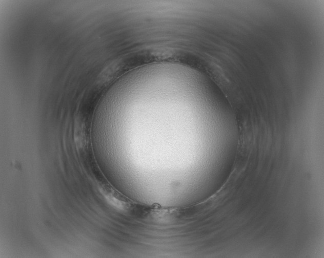 X0000077990136200611101738