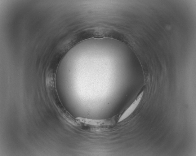 X0000077990137200611101738