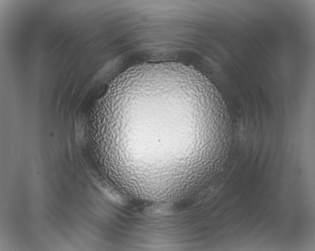 X0000077990138200611101738