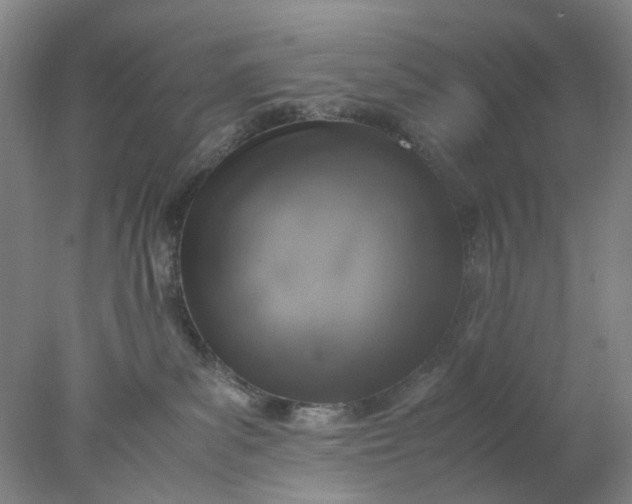 X0000077990139200611101738