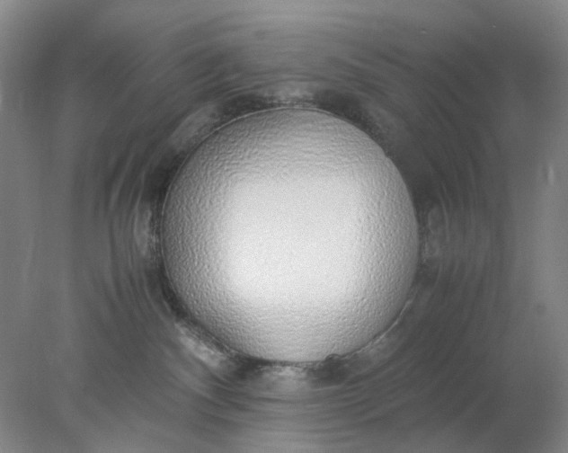 X0000077990140200611101738