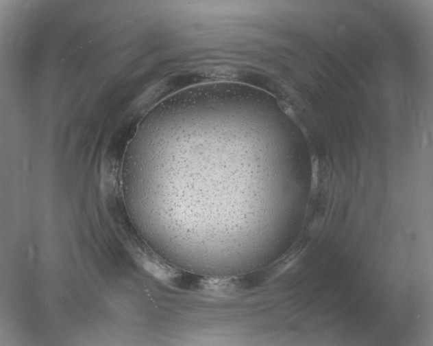 X0000077990141200611101738