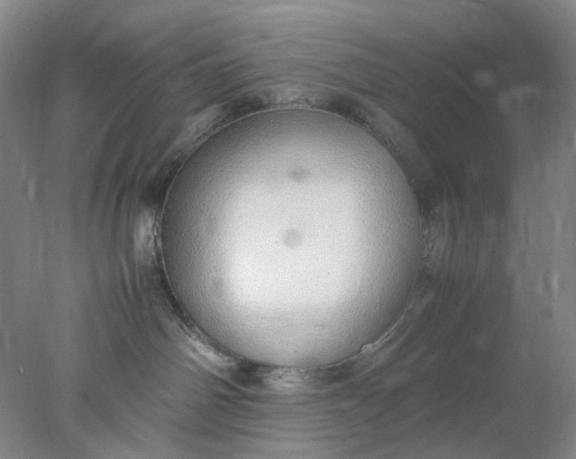 X0000077990142200611101738