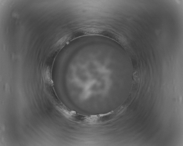 X0000077990143200611101738