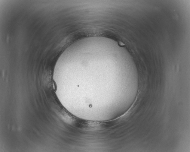 X0000077990144200611101738