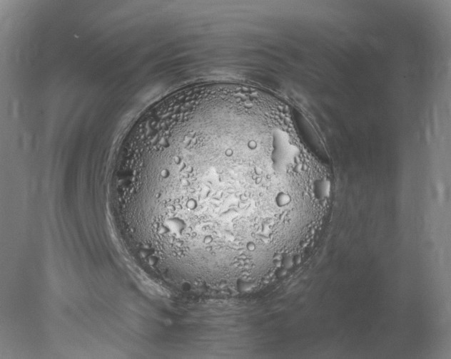 X0000077990145200611101737