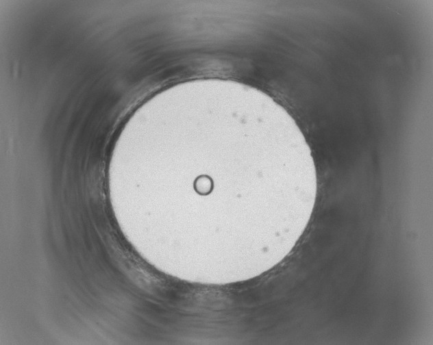 X0000077990146200611101737