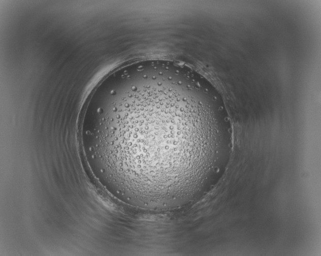 X0000077990147200611101737