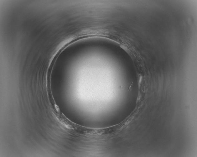 X0000077990148200611101737