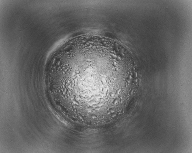 X0000077990149200611101737