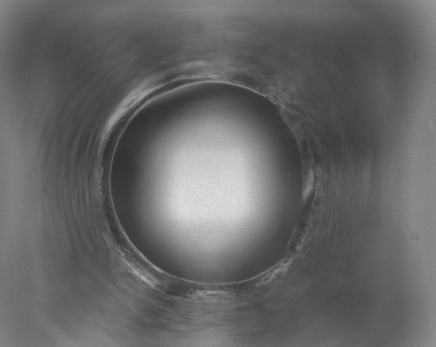 X0000077990150200611101737