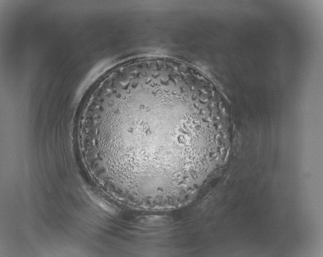 X0000077990151200611101737