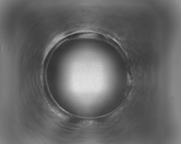 X0000077990152200611101737