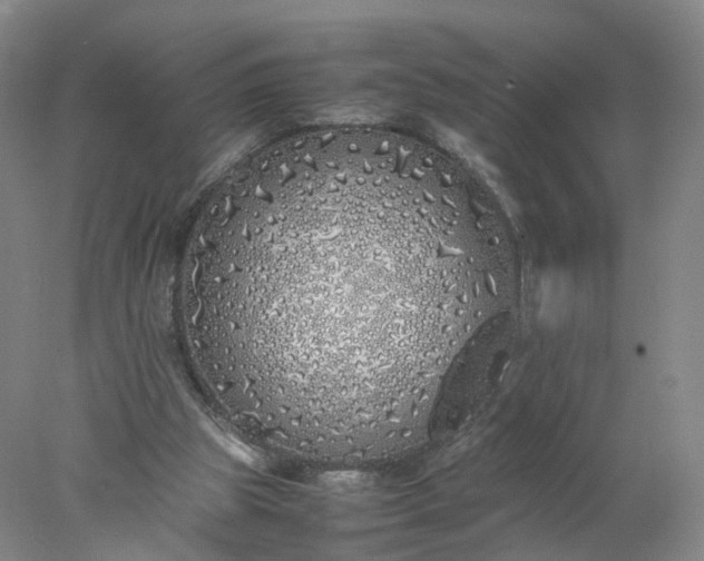 X0000077990153200611101737