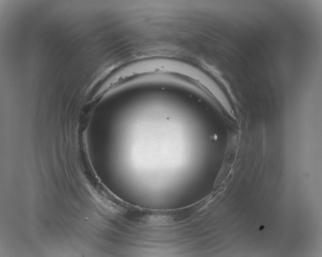 X0000077990154200611101737