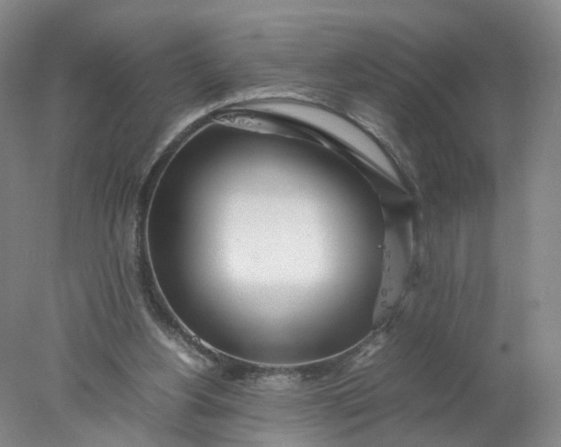 X0000077990156200611101737