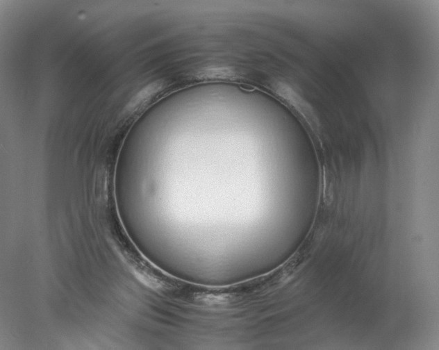 X0000077990157200611101737