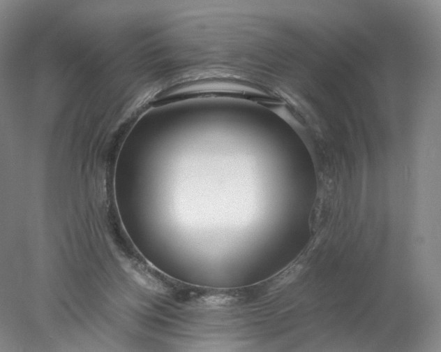 X0000077990158200611101737