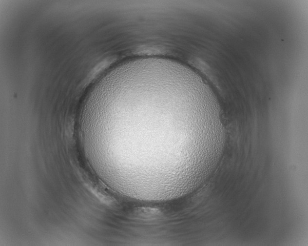 X0000077990159200611101737