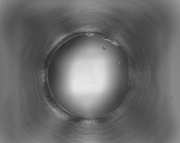 X0000077990160200611101737