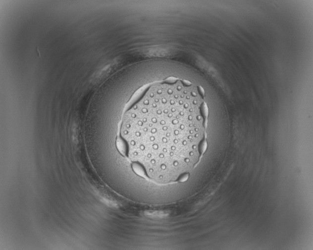 X0000077990161200611101737