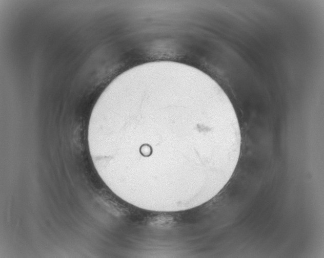 X0000077990162200611101737