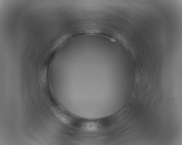 X0000077990163200611101737