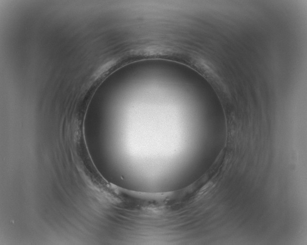 X0000077990164200611101737