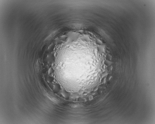 X0000077990165200611101737