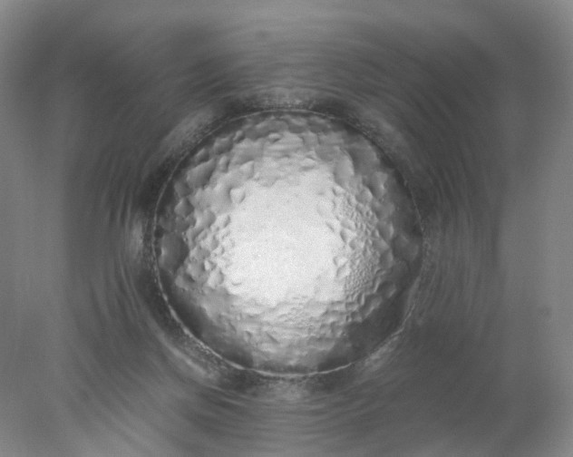 X0000077990166200611101737