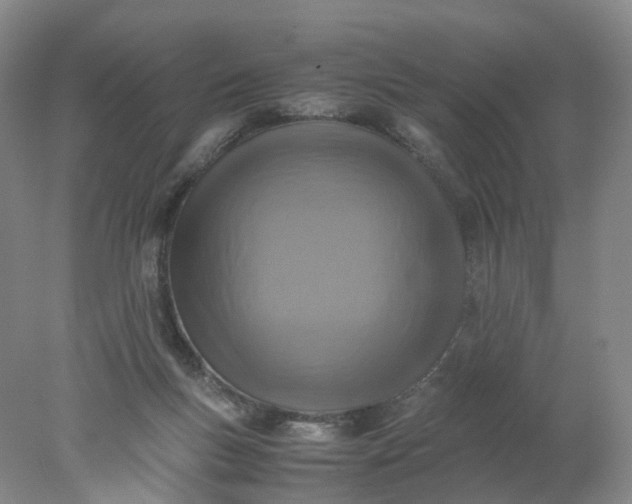 X0000077990167200611101737