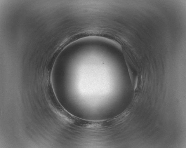 X0000077990168200611101737