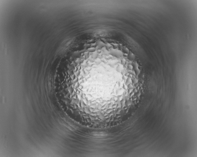 X0000077990169200611101737