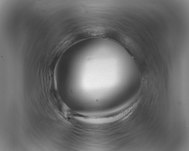 X0000077990170200611101737