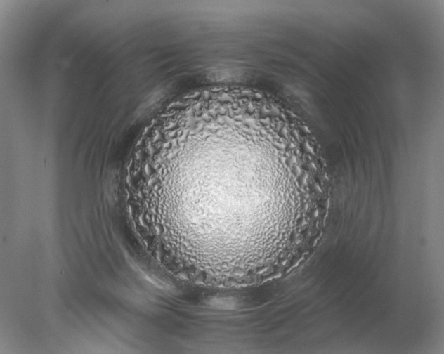 X0000077990171200611101737