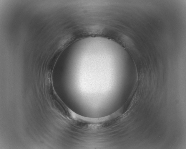 X0000077990172200611101737