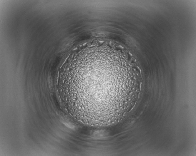 X0000077990173200611101737