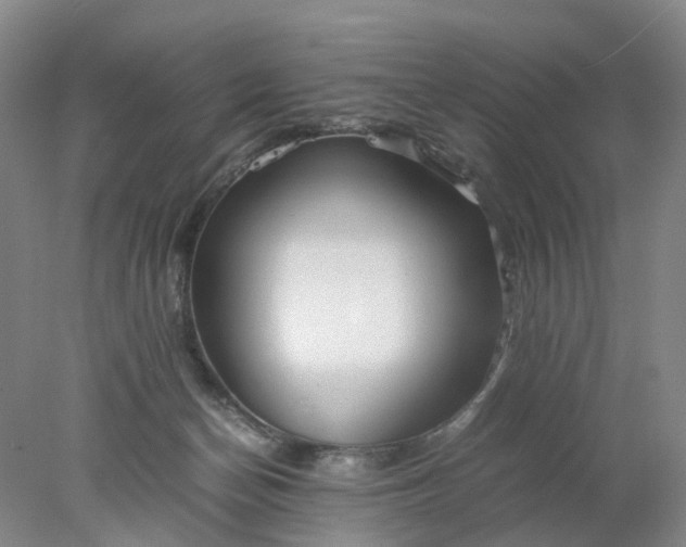 X0000077990174200611101737