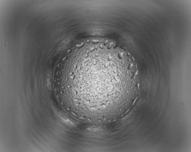 X0000077990175200611101737