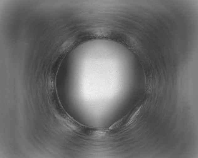 X0000077990176200611101737