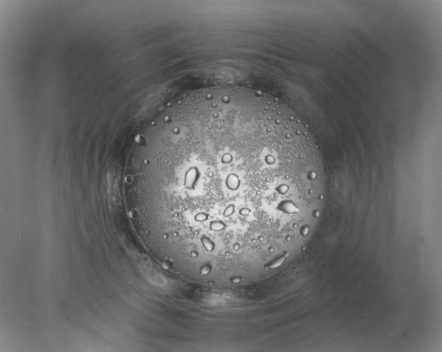 X0000077990177200611101738